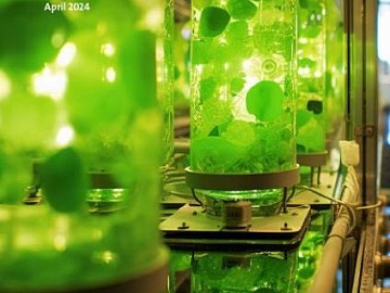 Green Retail  - Conad sostiene la Giornata Mondiale della Terra Torino 2024 