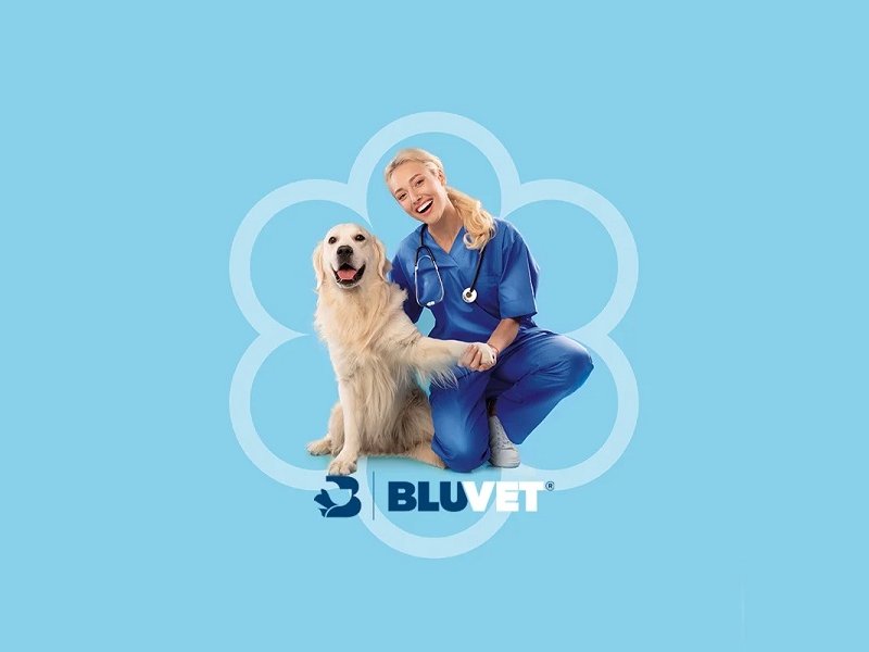 Green Retail  - Conad e BluVet offrono servizi veterinari di qualità a condizioni agevolate 