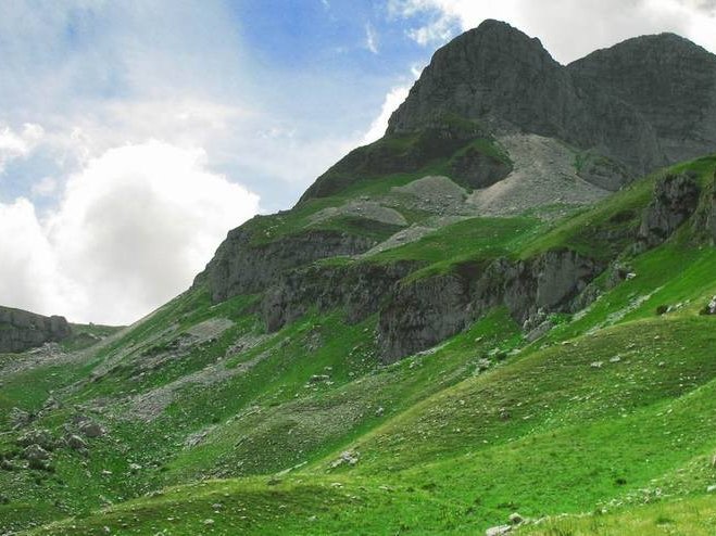 Green Retail  - E’ entrata in vigore la Legge UE sul Ripristino della Natura 