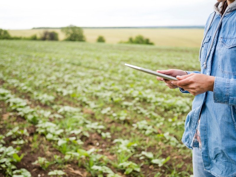 Green Retail  - Nasce il Premio “Annabella Donnarumma” per l'innovazione nell’agroalimentare 