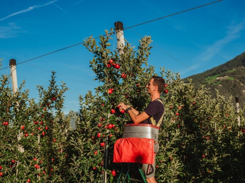 Green Retail  - Attenzione ai giovani e alle risorse umane per il futuro della frutticoltura in Val Venosta 