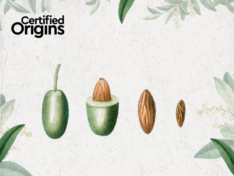 Green Retail  - Certified Origins presenta un podcast per raccontare l'origine degli alimenti 