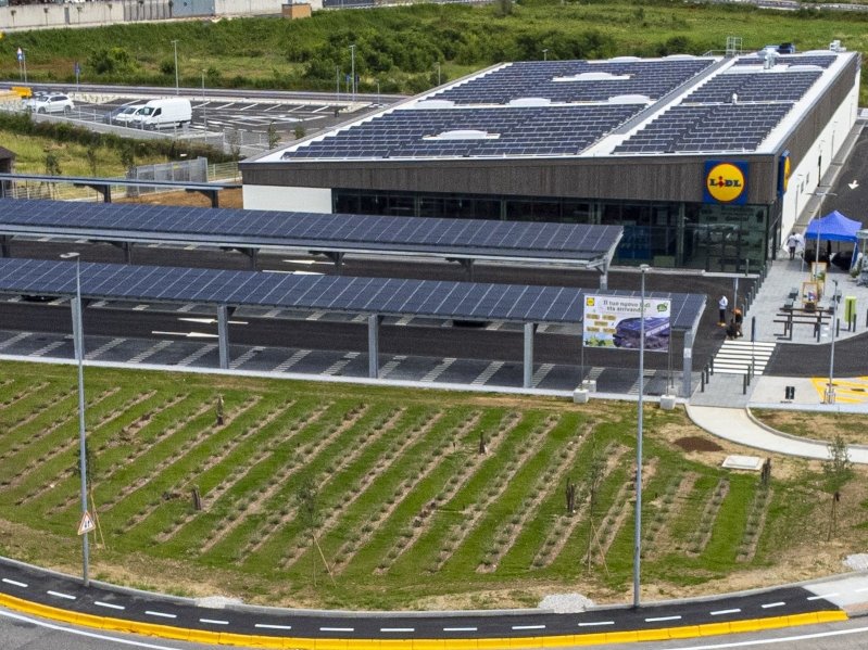 Green Retail  - LIDL rafforza il suo impegno a tutela del clima: obiettivo net-zero entro il 2050 