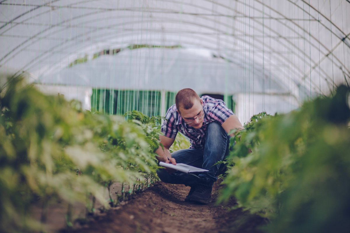 Green Retail  - Certificazione alimentare: Agroqualità cambia nome in Rina Agrifood 