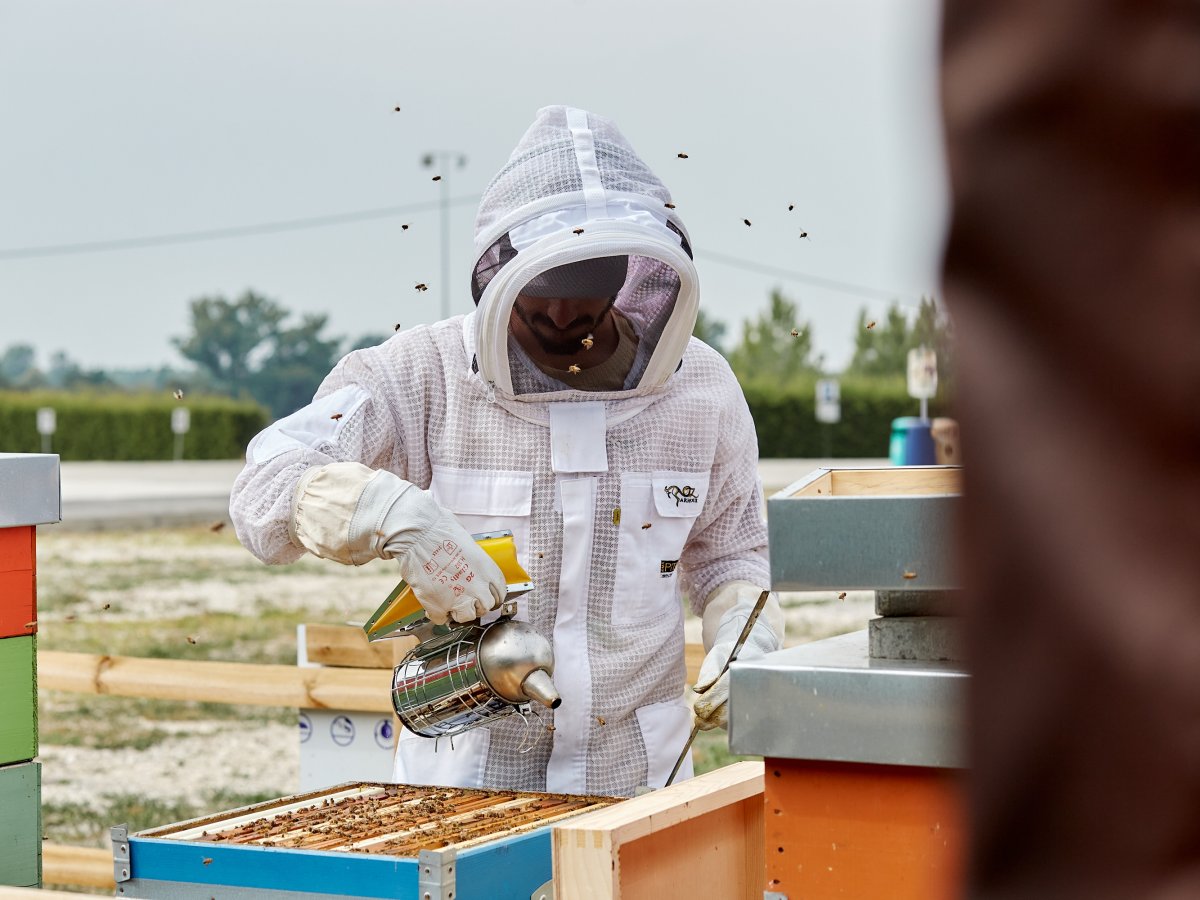 Green Retail  - Surgital e Beeway collaborano per la biodiversità con un apiario a Lavezzola 