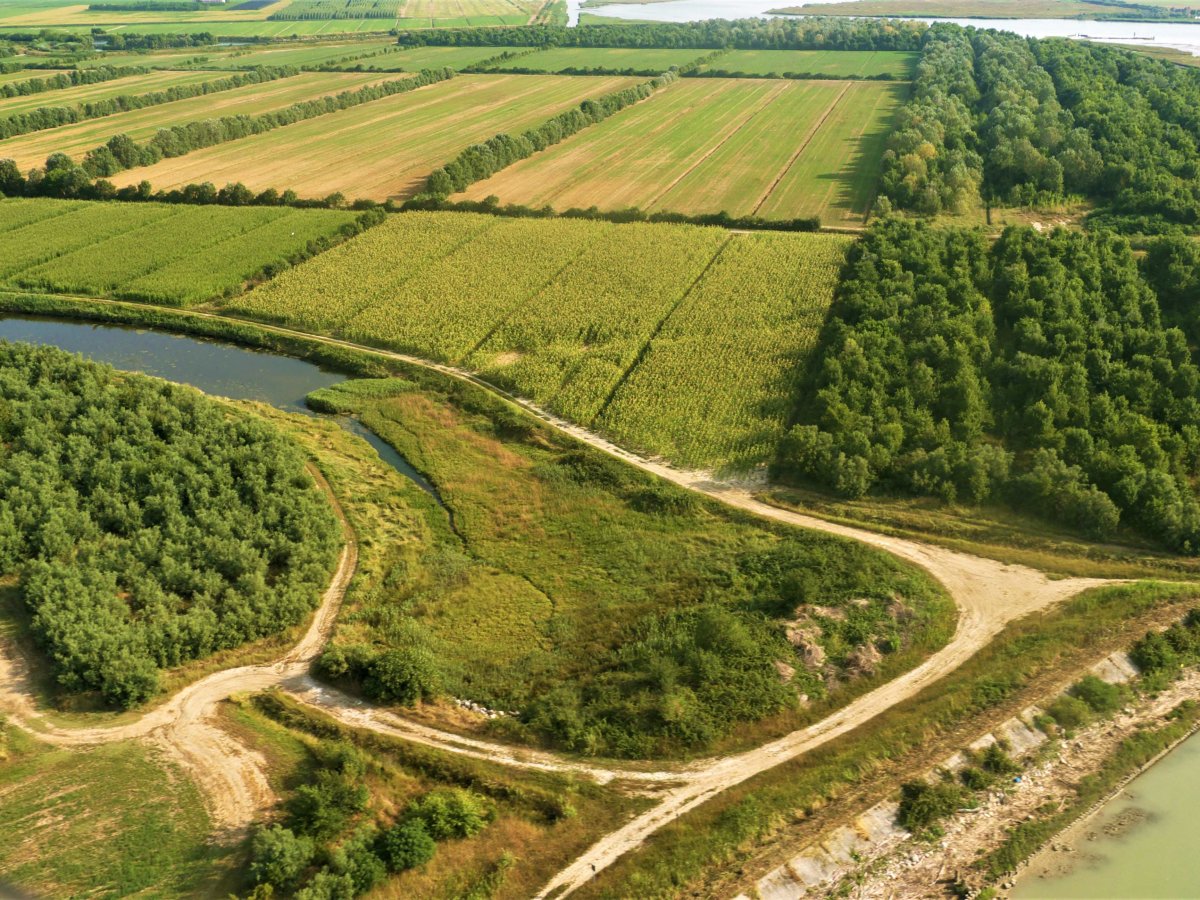 Green Retail  -  LENs: cresce il progetto di agricoltura rigenerativa di Purina 