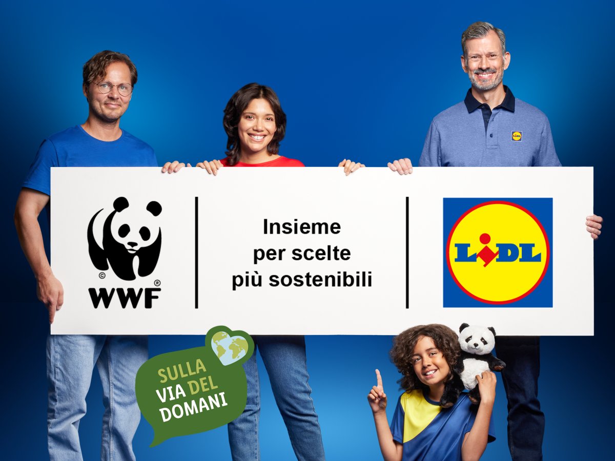 Green Retail  - Lidl punta sulla Planetary Health Diet: obiettivo +20% di proteine vegetali entro il 2030 