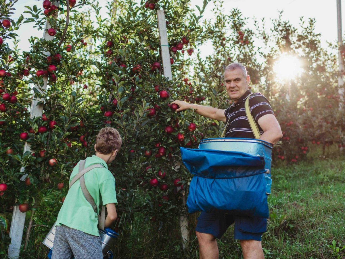 Green Retail  - Biodiversità e modello cooperativo: il sistema altoatesino che integra sostenibilità e redditività agricola 