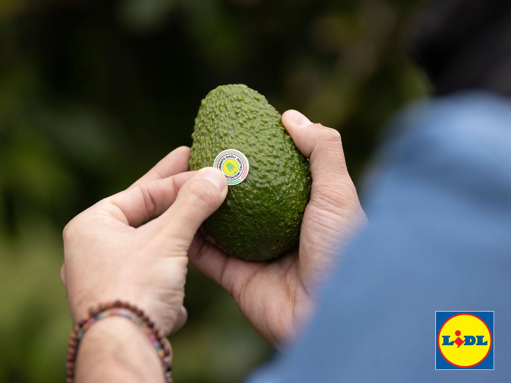 Green Retail  - NEWS 