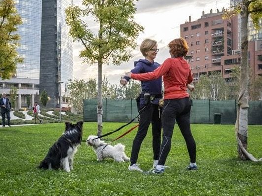 Green Retail  - Mars e AniCura: benessere pet-friendly al BAM di Milano 