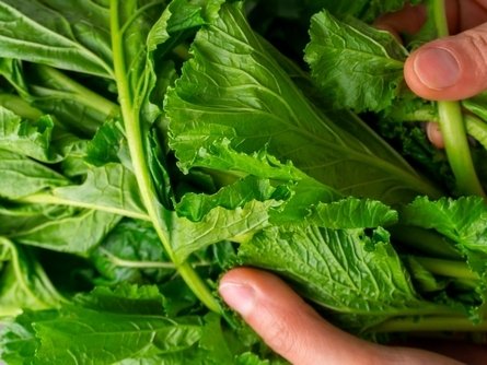 Green Retail  - Carrefour: 6 italiani su 10 acquistano bio, ma pochi conoscono i criteri 