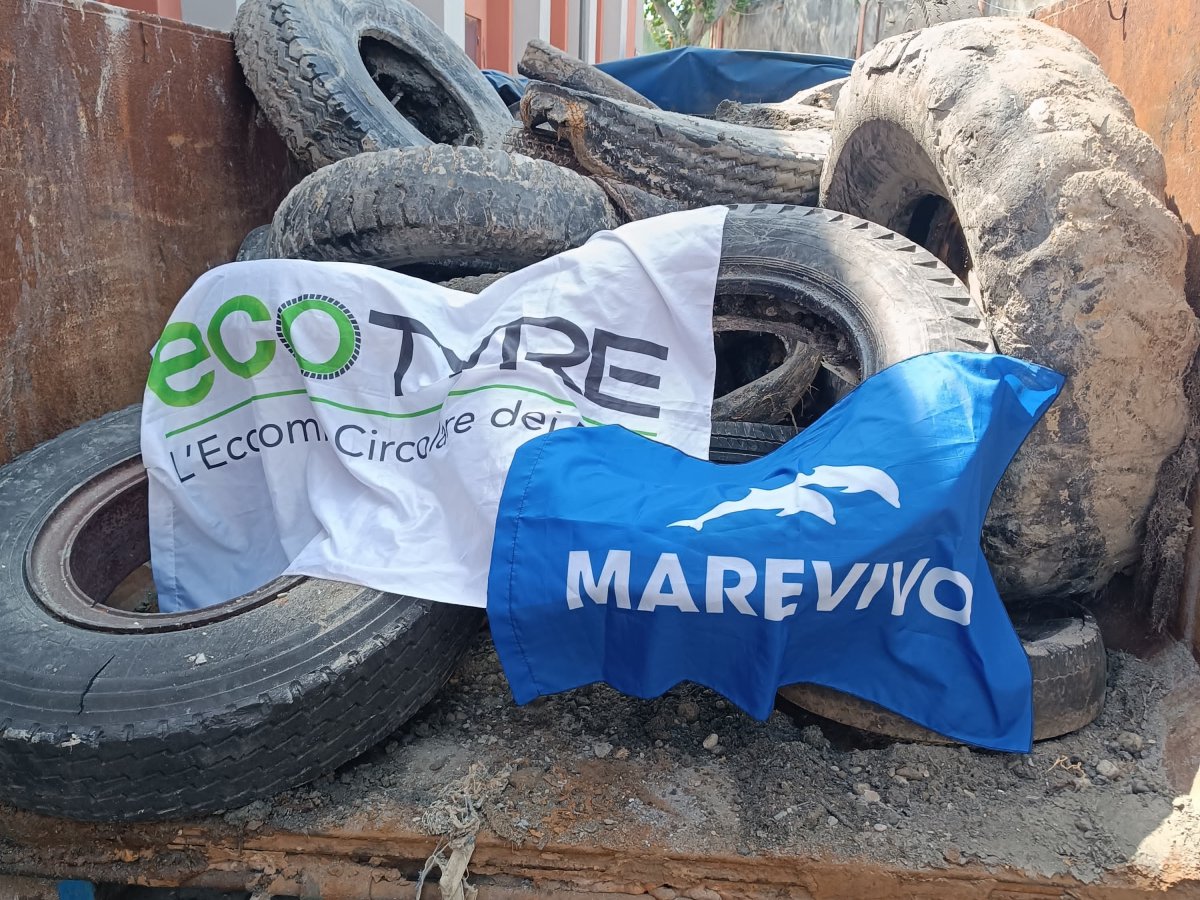 Green Retail - EcoTyre e Marevivo: 6 tonnellate di PFU recuperate Green Retail - EcoTyre e Marevivo: 6 tonnellate di PFU recuperate