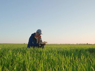 Green Retail - Syngenta: +10% produttività e –30% usod’acqua con InterraScan Green Retail - Syngenta: +10% produttività e –30% usod’acqua con InterraScan
