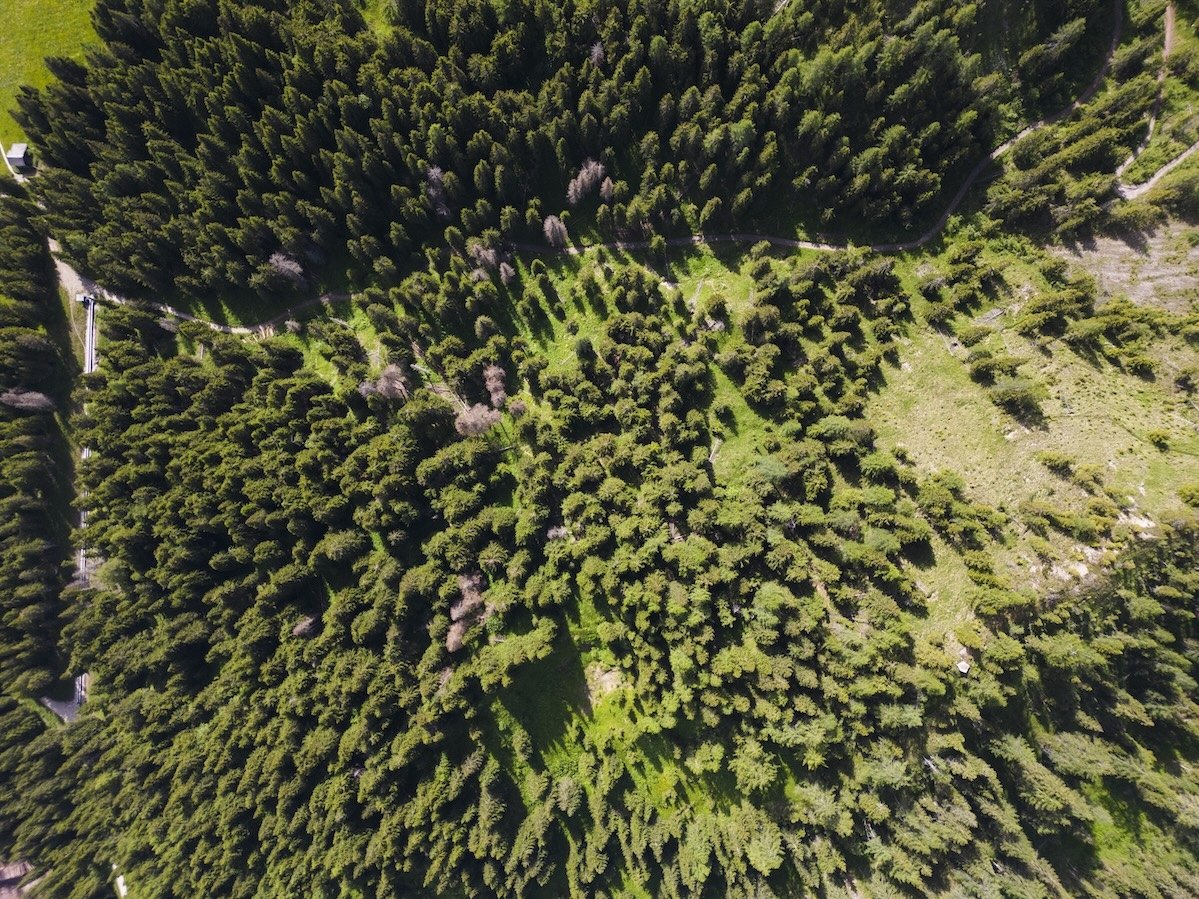 Green Retail  - AMBIENTE & TERRITORIO 