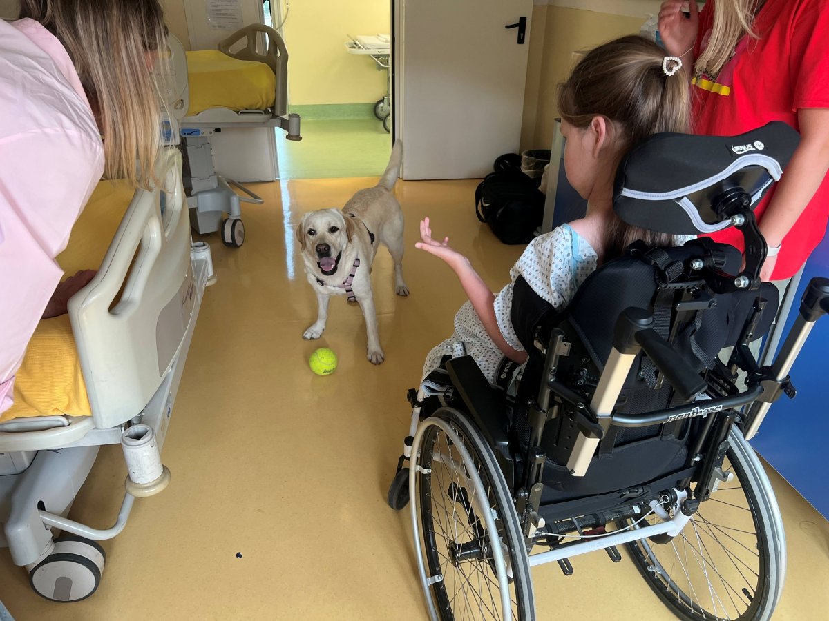 Green Retail  - Purina porta la pet therapy al Besta per i pazienti con SMA 
