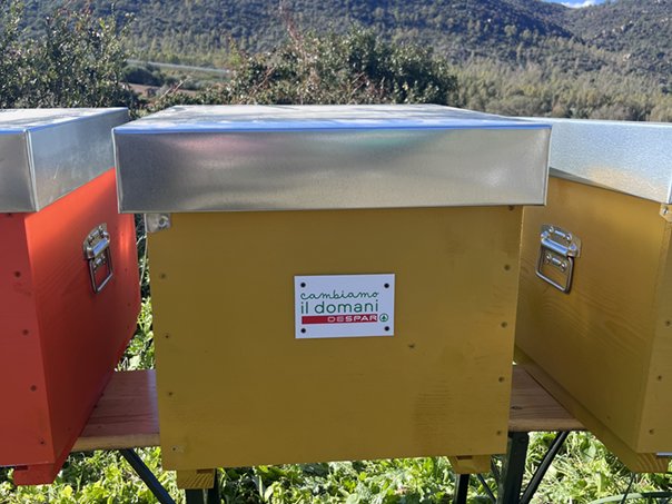 Green Retail  - Despar lancia il progetto “Case delle Api”  