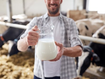 Green Retail  - Filiera latte Lazio proposto un tavolo regionale 