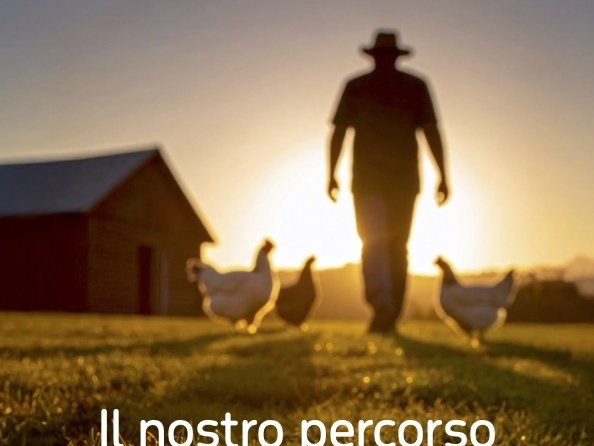 Green Retail  - Fileni presenta il Bilancio di Sostenibilità 2024 con fatturato a 612 milioni di euro e obiettivi ESG al 2040 