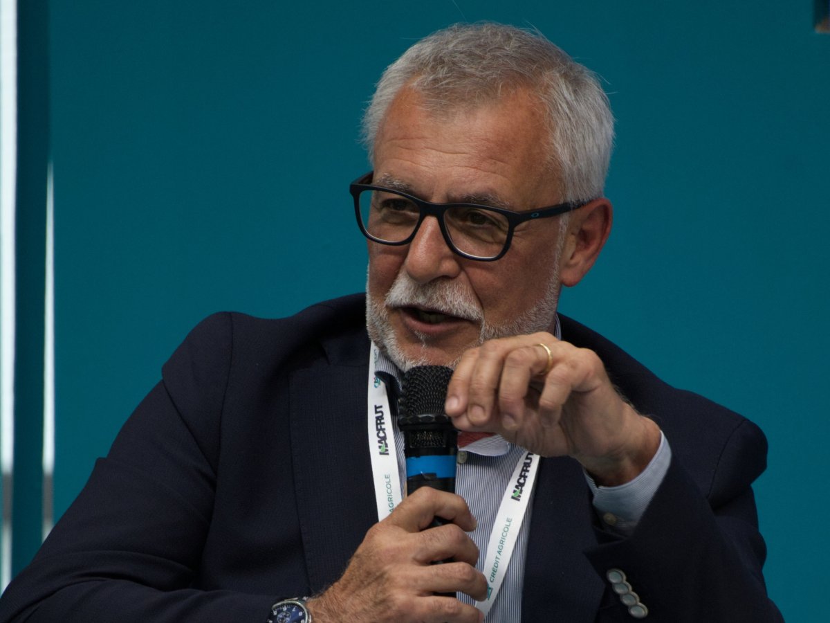 Green Retail  - Pesca e Nettarina di Romagna IGP: bilancio positivo per la campagna commerciale 2025 