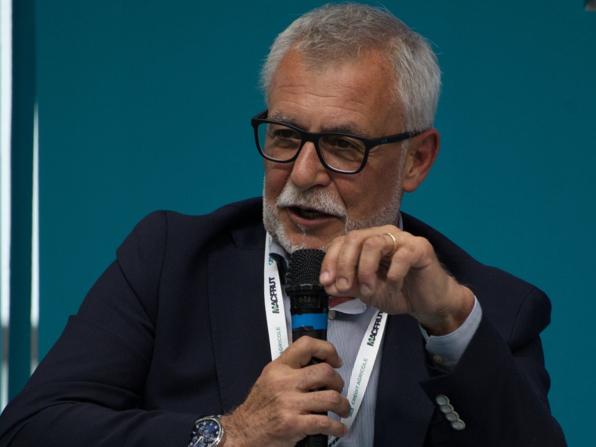 Green Retail  - SUCCESSI & STRATEGIE 