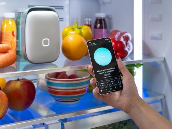 Green Retail  - Vitesy lancia il nuovo Shelfy per frigoriferi più sostenibili 
