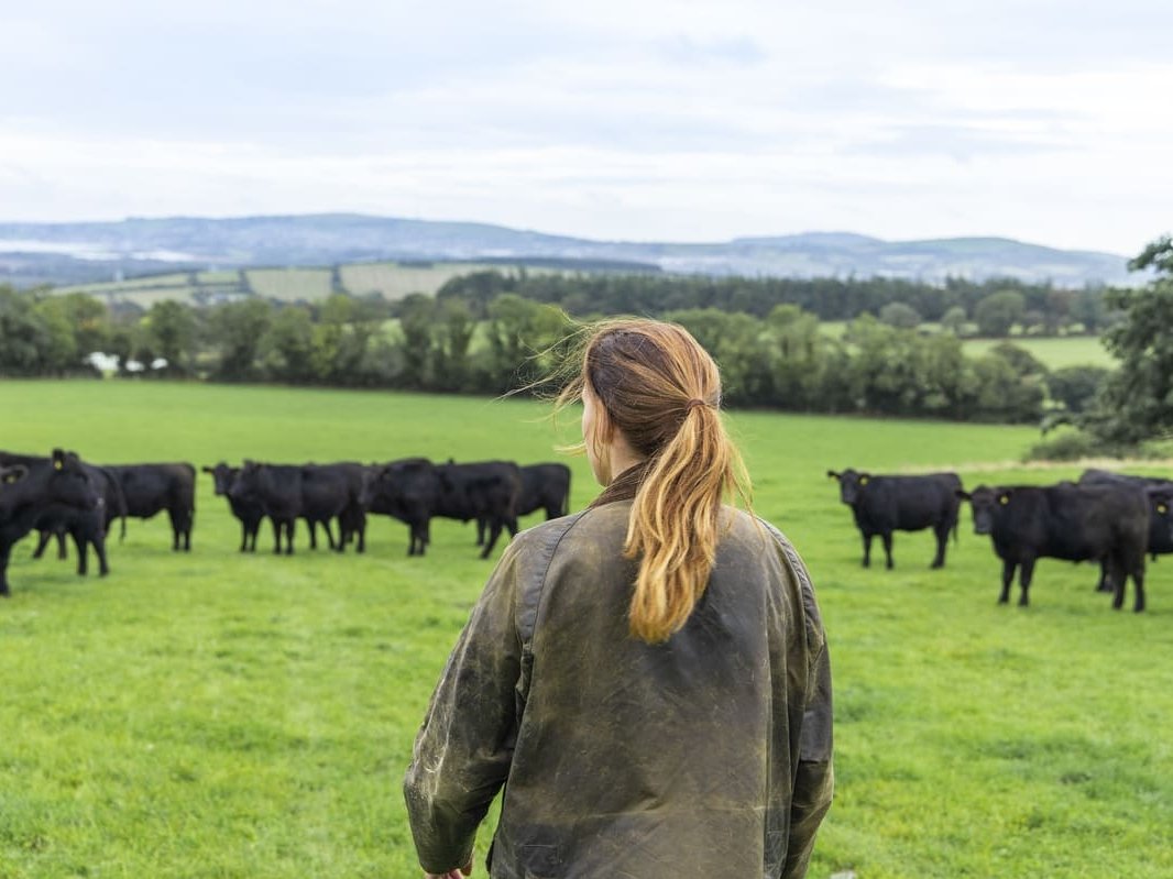 Green Retail  - Certified Irish Angus: in Irlanda allevamenti sostenibili e formazione 