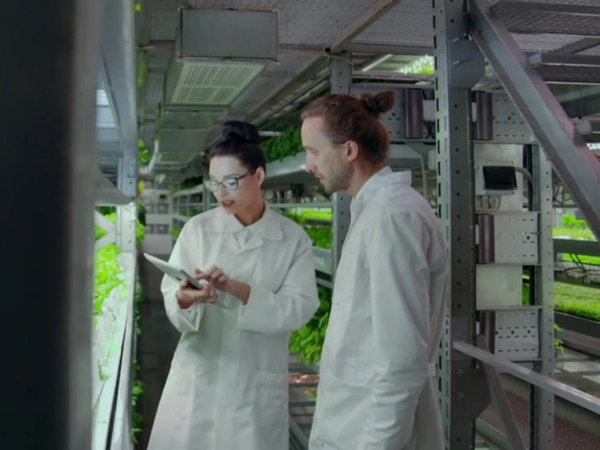 Green Retail  - Foodtech Incubator accelera la transizione verso un sistema agroalimentare sostenibile 