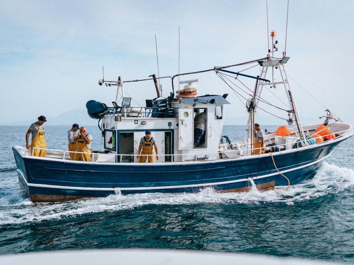 Green Retail  - Pesca sostenibile 2025: il mercato italiano fa squadra con MSC 