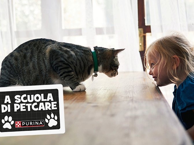 Green Retail  - NEWS  Green Retail  - NEWS