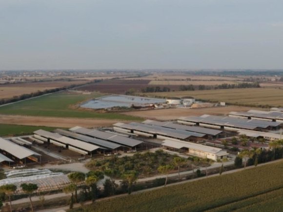 Green Retail  - NEWS 