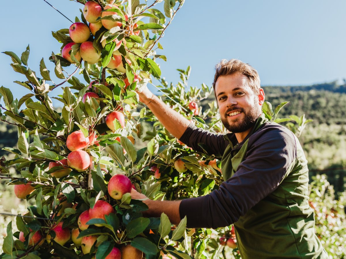 Green Retail  - NEWS 