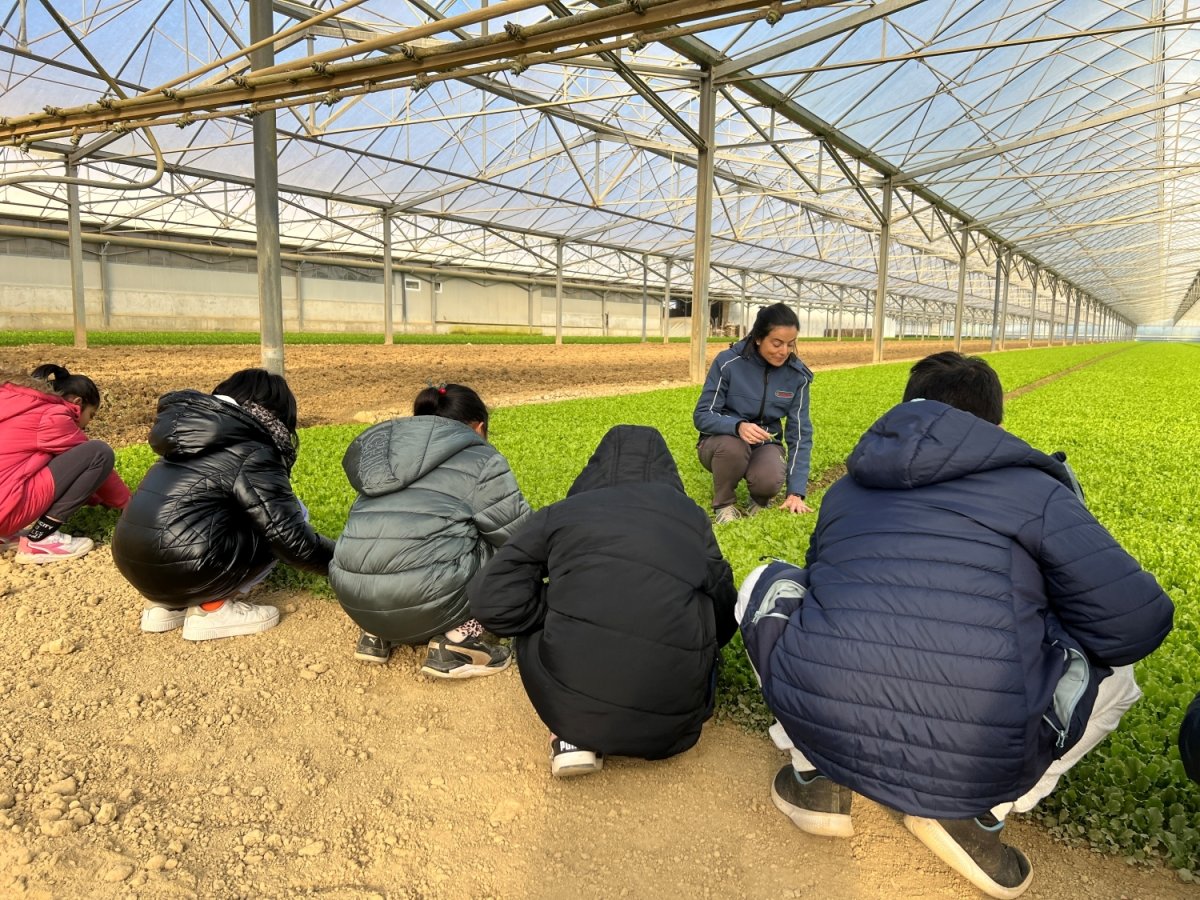 Green Retail  - NEWS 