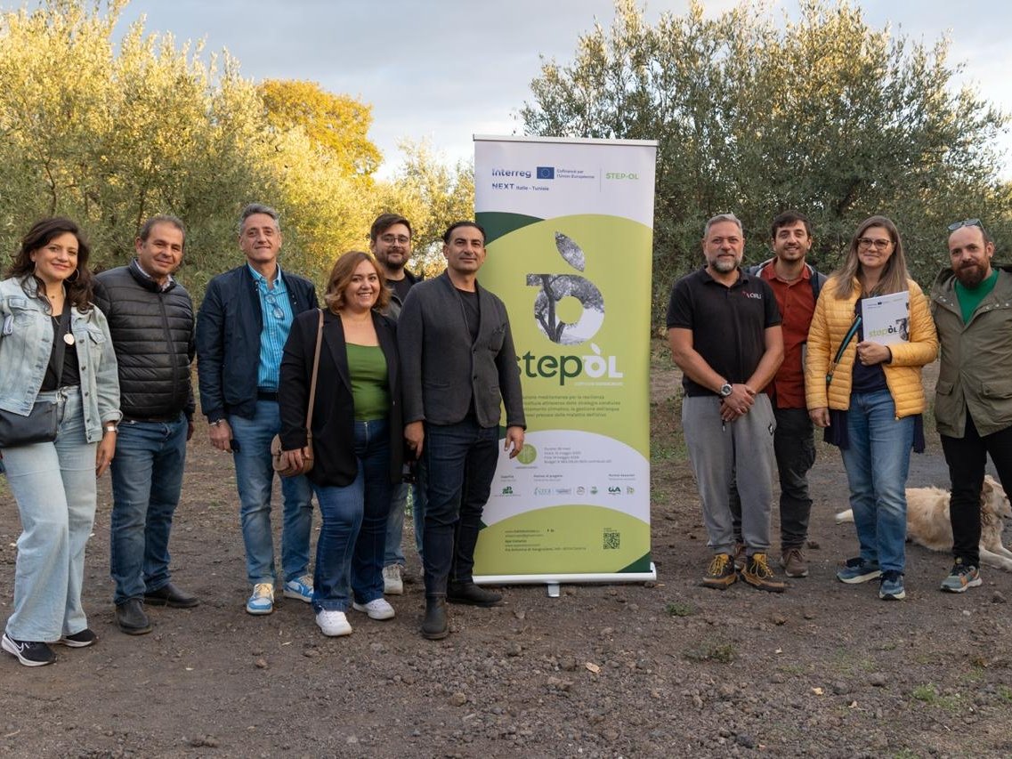 Green Retail  - STEP-OL: Sicilia e Tunisia insieme per proteggere l’olivo mediterraneo 
