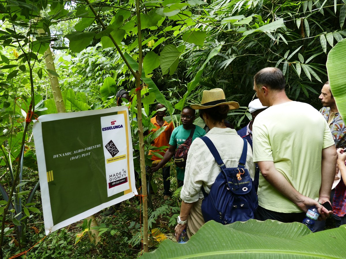 Green Retail  -  Esselunga e Altromercato: cacao sostenibile in Togo 