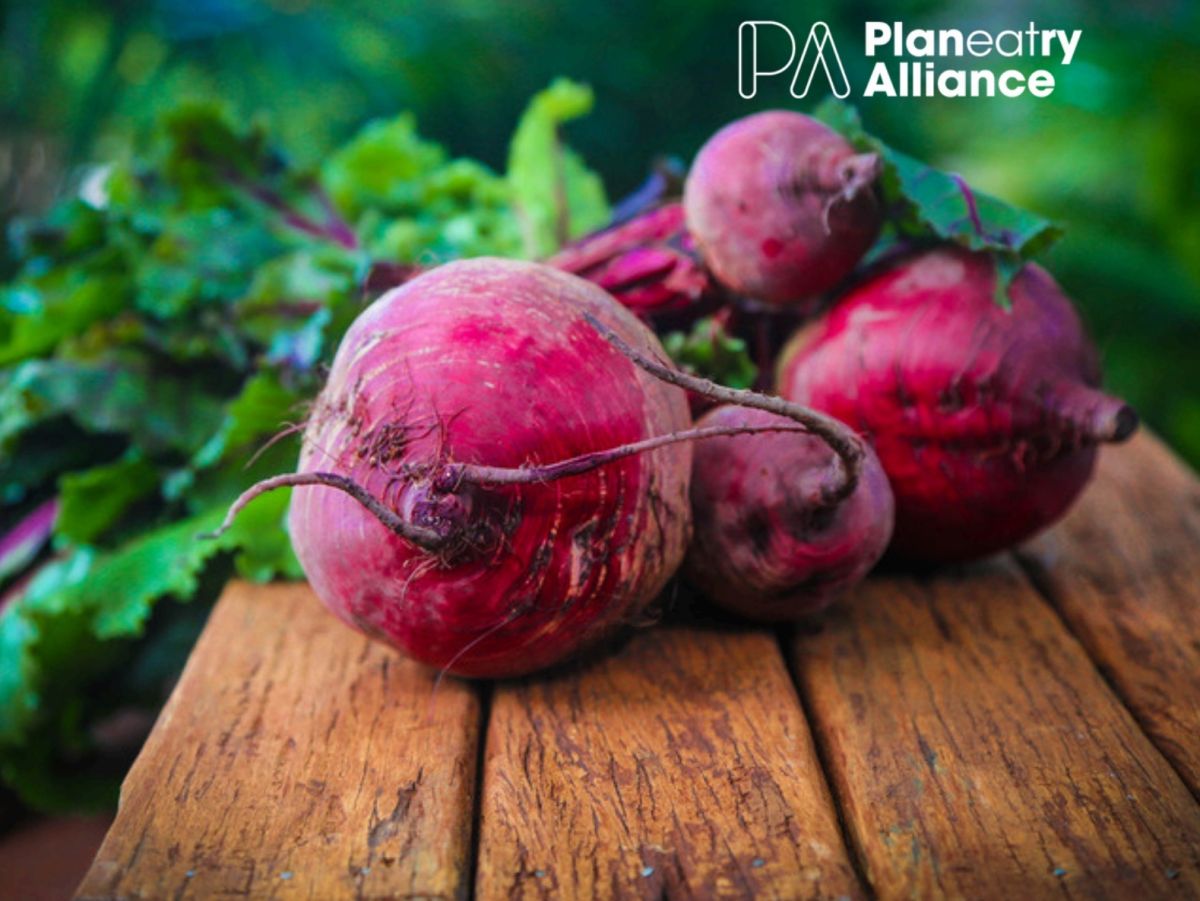 Green Retail  - Food System Barometer: cosa pu&ograve; imparare la Gdo italiana dai retailer nordeuropei sulla transizione alimentare 