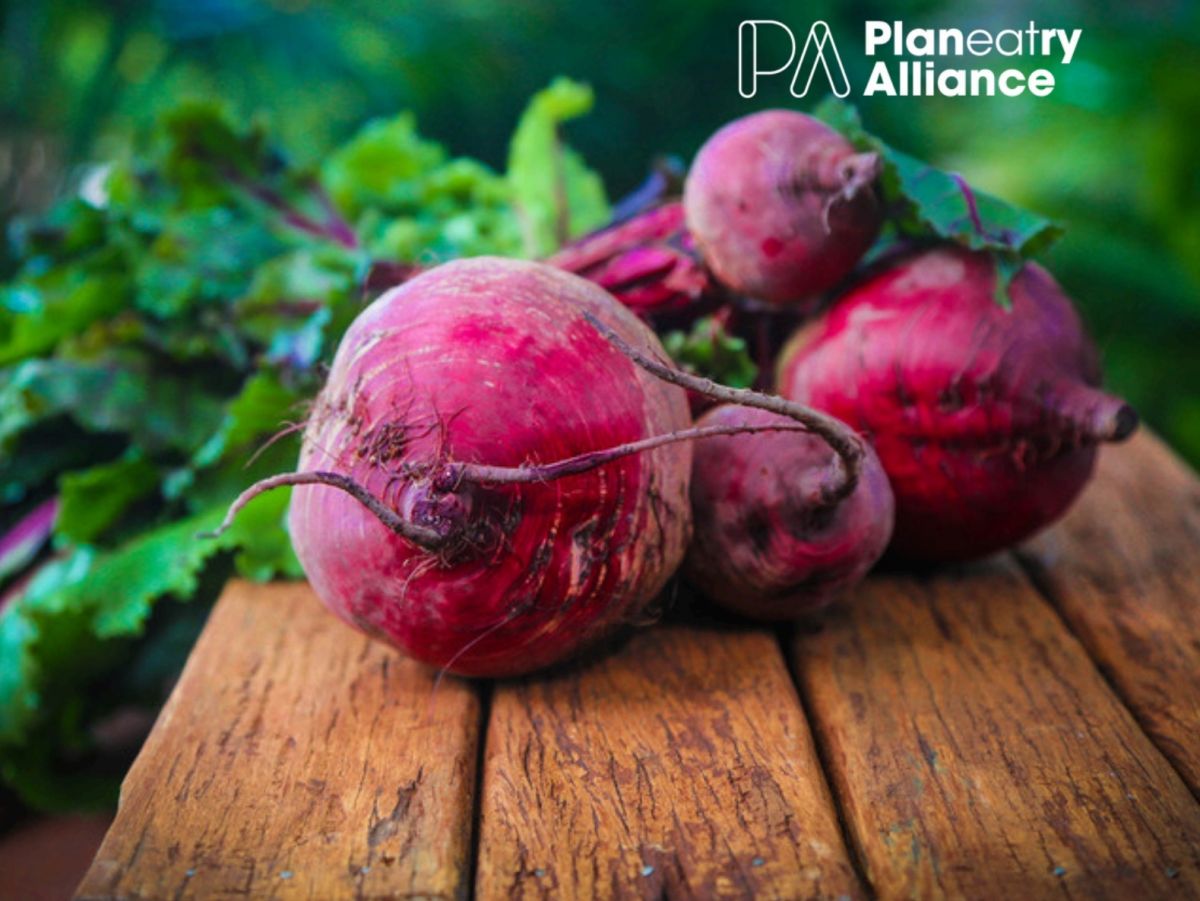 Green Retail  - NEWS 