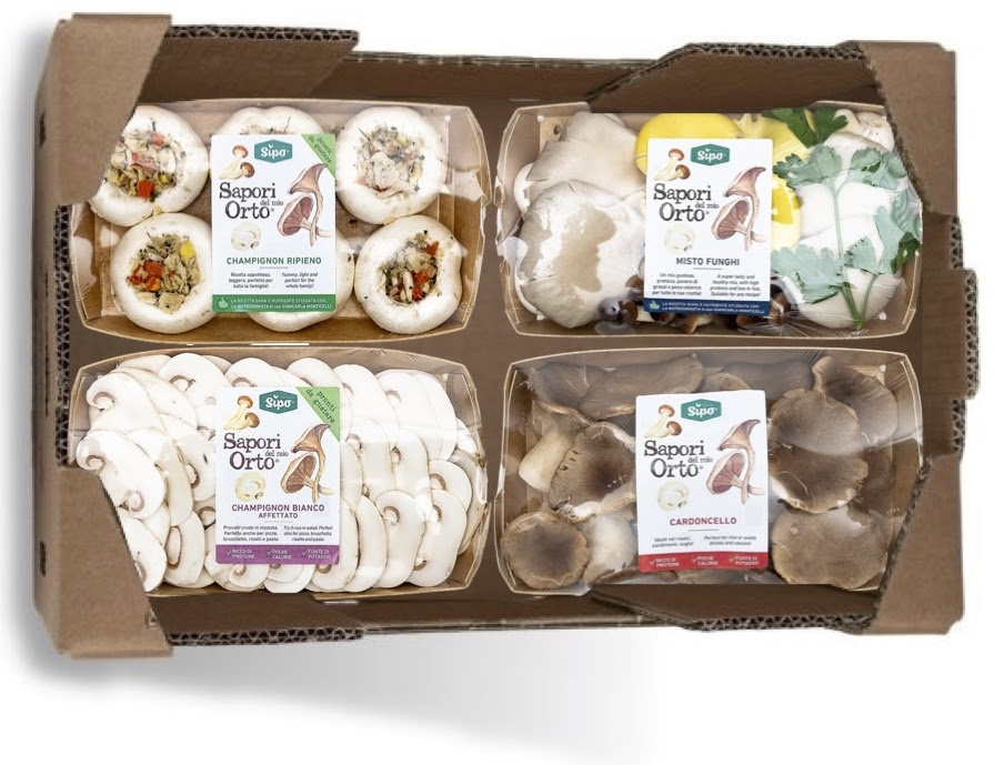 Green Retail  - Sipo rinnova il packaging della linea dei funghi freschi 