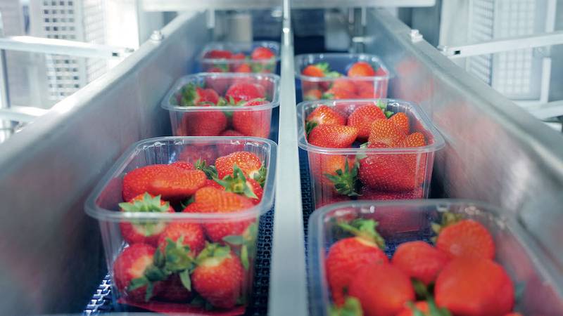 Green Retail  - Ilip a Fruit Logistica per un packaging più sostenibile e su misura 