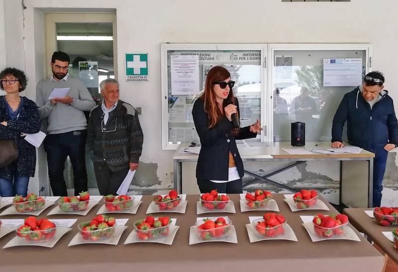 Green Retail  - Le fragole di Geoplant “in pieno campo” per lo sviluppo rurale 