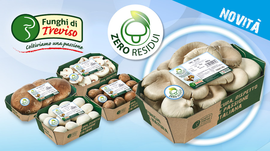Green Retail  - O.P. Consorzio Funghi di Treviso amplia la linea “Zero Residui”  