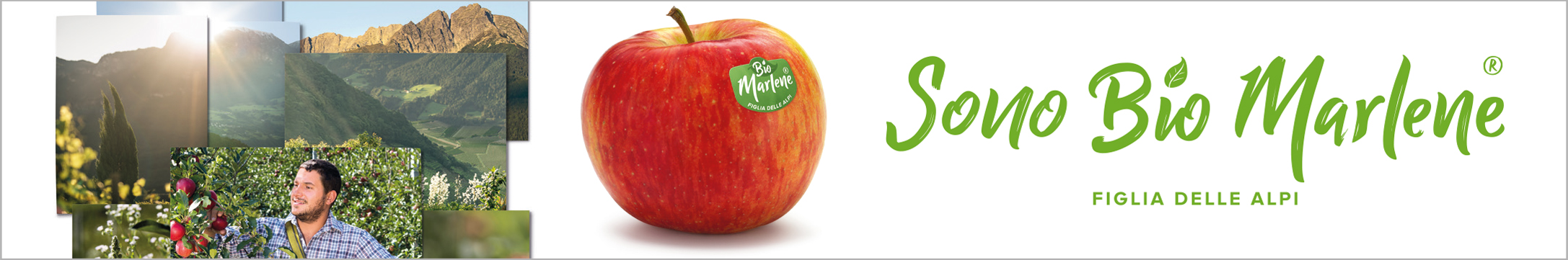 Green Retail  - Settembre è tempo di… Gala Bio Marlene®! 