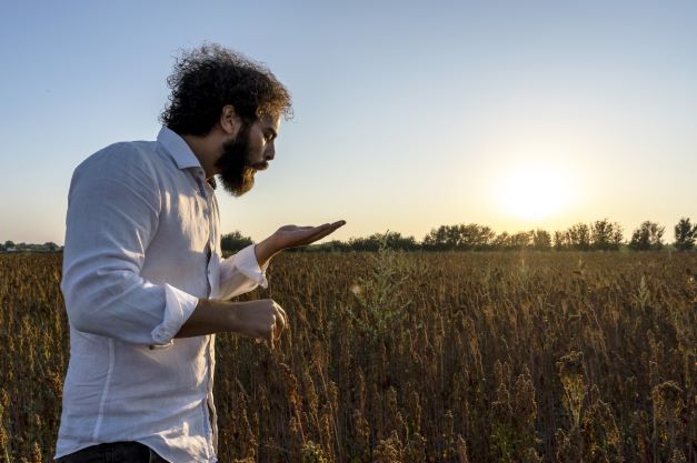 Green Retail  - Splende il sole sulla filiera italiana della quinoa 