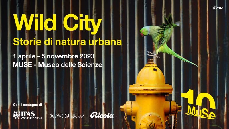 Green Retail  - Ricola sostiene la mostra Wild City al Museo delle Scienze di Trento 