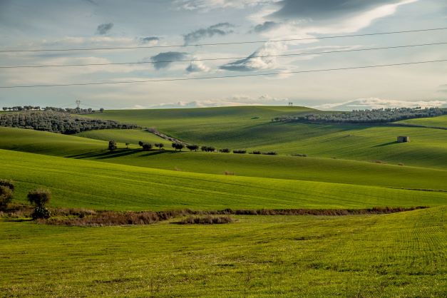 Green Retail  - Alce Nero torna con un evento al Festival Internazionale a Ferrara 