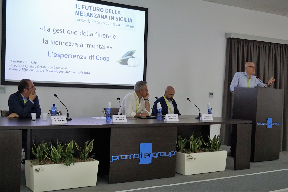 Green Retail  - Il futuro della melanzana in Sicilia: Rijk Zwaan Italia fa incontrare Gdo e mondo produttivo 