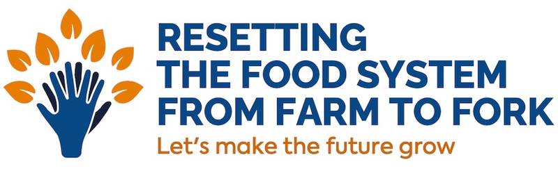 Green Retail  - Barilla Foundation: Resetting the Food System from Farm to Fork 