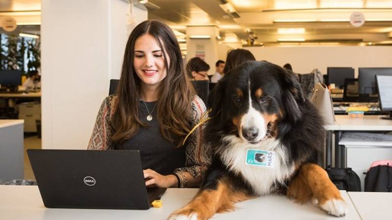 Mars Italia sostiene l'ufficio pet-friendly