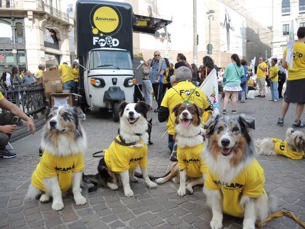 Green Retail  - Arcaplanet sostiene gli animali disagiati con il progetto Foodstock 