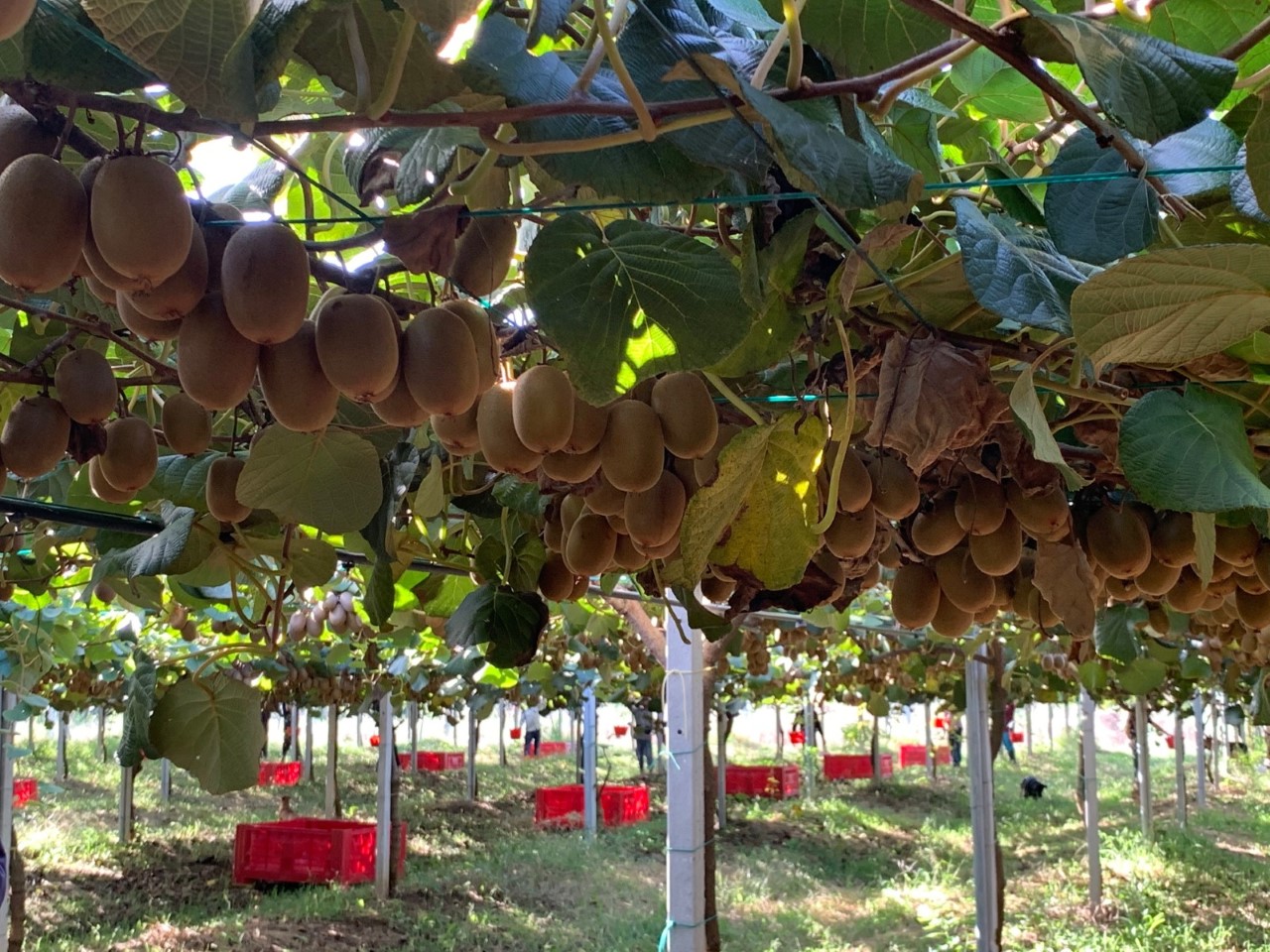 Green Retail  - Giornata mondiale dell'acqua, In&Out racconta l'ortofrutta europea, fra lotta agli sprechi e tutela delle fonti dall'inquinamento 