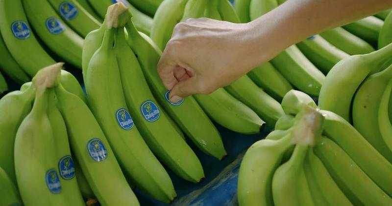 Green Retail  - Chiquita presenta il nuovo Rapporto sulla Sostenibilità 